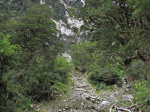 View of rock fall along the track to Lake Marian