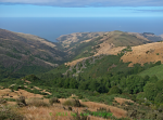 View of the Pacific from the Akaroa Skyline Track