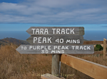 Tara Track Signpost