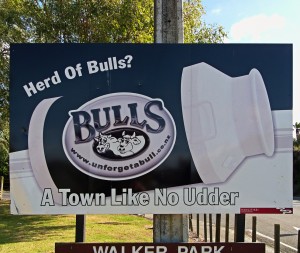 Herd of Bulls? A town like no udder