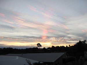 Tauranga sunset