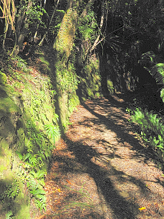 Along the Heaphy Track