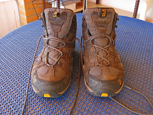 What was left of the boots. Repair to the boot on the left (rivet) was post-Dusky; later the eyelet below also tore; eyelets on the other boot show critical frying , as well as other damage
